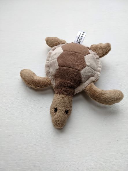 Photo of soft toy of turtle