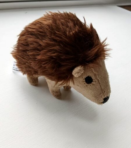 Photo of soft toy of Poppy the porcupine